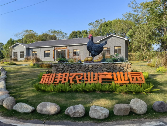 江西南昌：90后小伙養雞創業 譜寫鄉村振興“青春之歌”